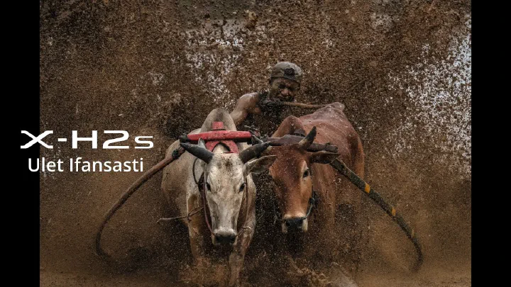 Fujifilm X-H2S: Bull Race by Ulet Ifansasti