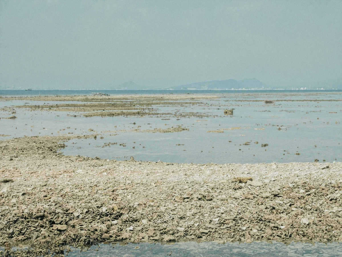 Frame 2